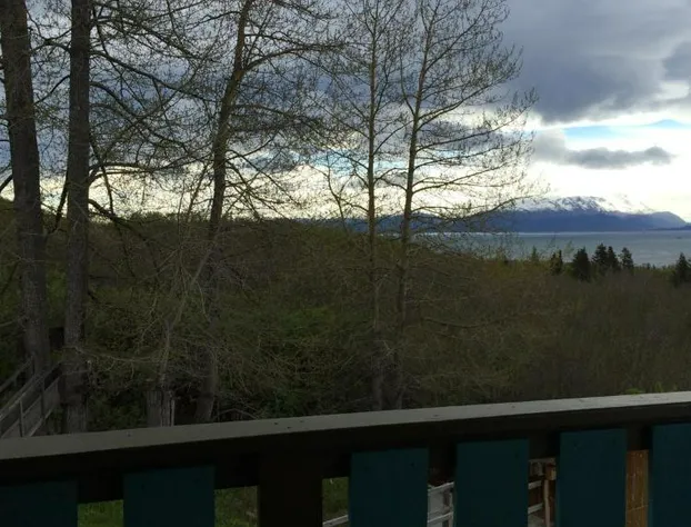 Homer Stay and Play hotel detail image 3