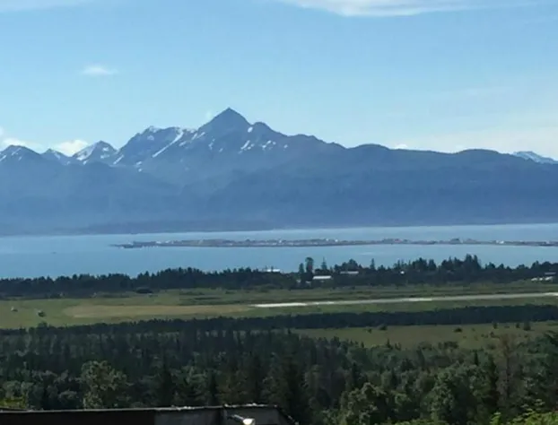 Homer Stay and Play hotel detail image 3