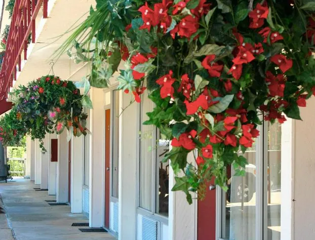 Statue Road Inn hotel detail image 4