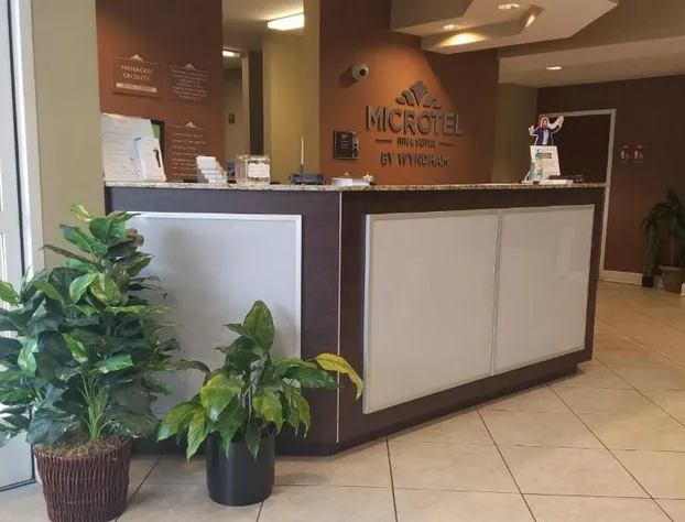 Microtel Inn & Suites by Wyndham Shelbyville hotel detail image 4