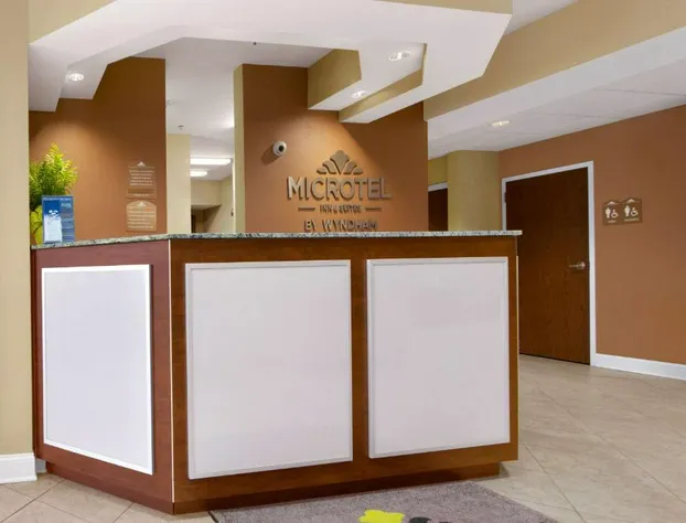 Microtel Inn & Suites by Wyndham Shelbyville hotel detail image 3