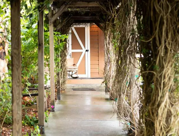 J Patrick Inn hotel detail image 1