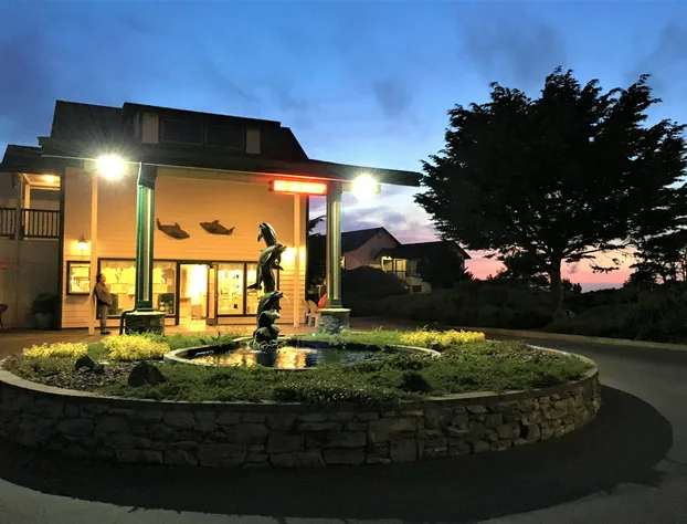 Emerald Dolphin Inn & Mini Golf hotel detail image 1