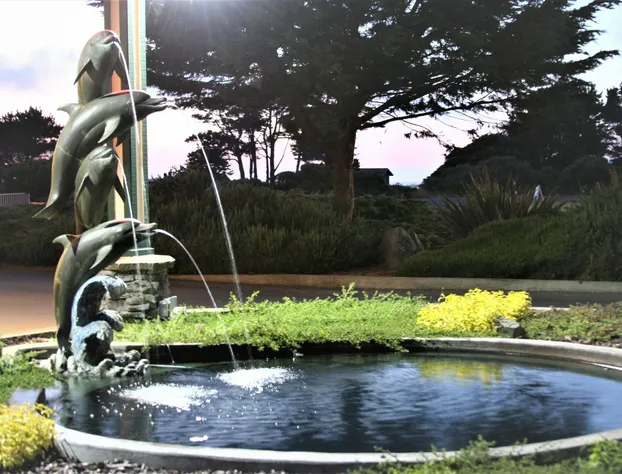 Emerald Dolphin Inn & Mini Golf hotel detail image 3