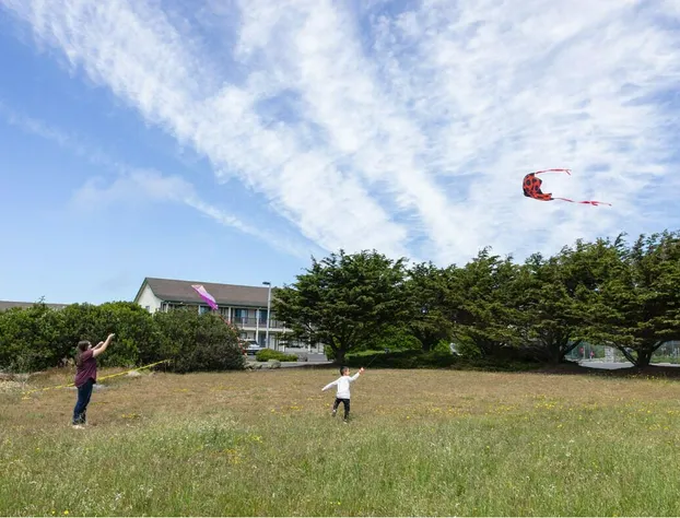 Emerald Dolphin Inn & Mini Golf hotel detail image 4