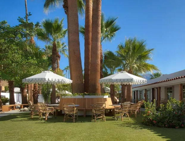 Dive Palm Springs hotel detail image 1