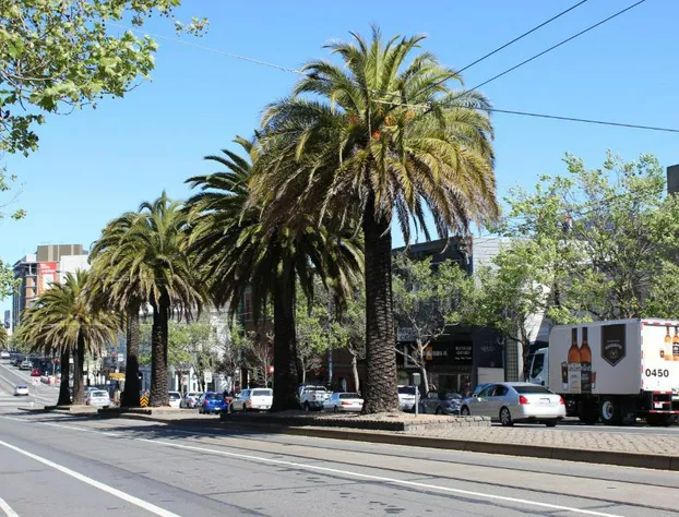 Twin Peaks Hotel hotel detail image 4