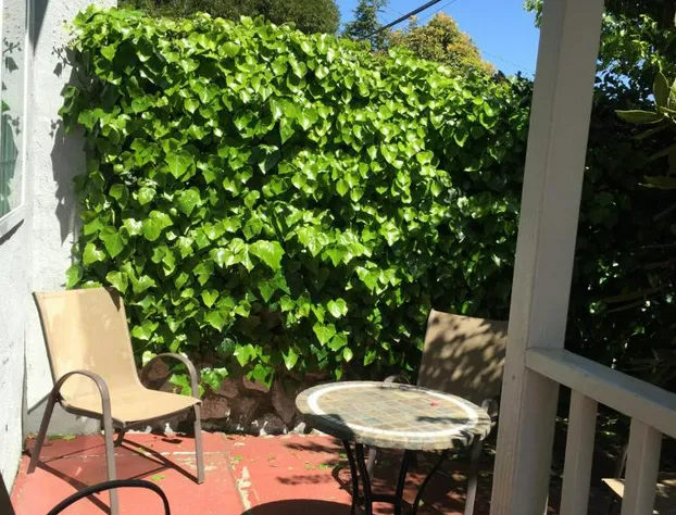 Harbor Inn hotel detail image 3