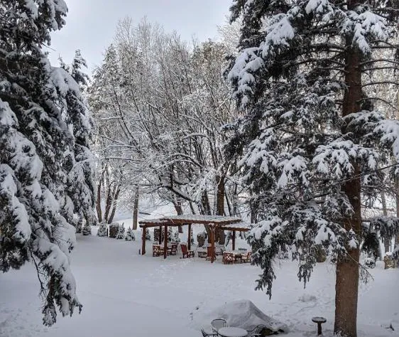 Alpen Way Chalet Mountain Lodge hotel detail image 4