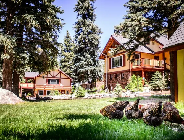 Alpen Way Chalet Mountain Lodge hotel detail image 3