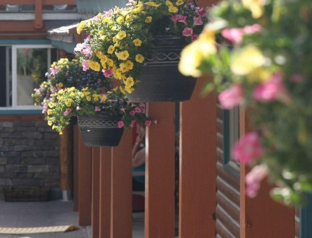 Ouray Inn hotel detail image 1
