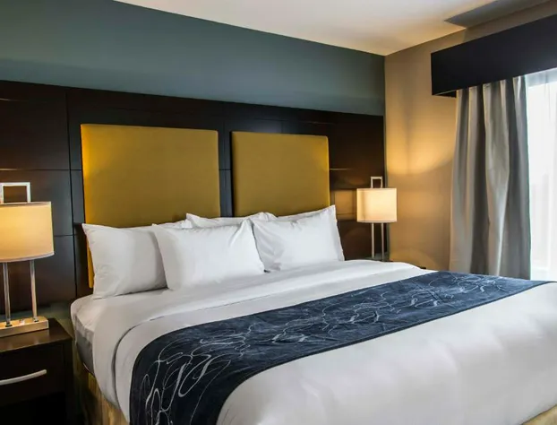 Comfort Suites Fort Lauderdale Airport South & Cruise Port hotel detail image 2
