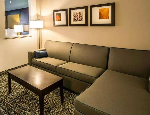 Comfort Suites Fort Lauderdale Airport South & Cruise Port hotel detail image 3