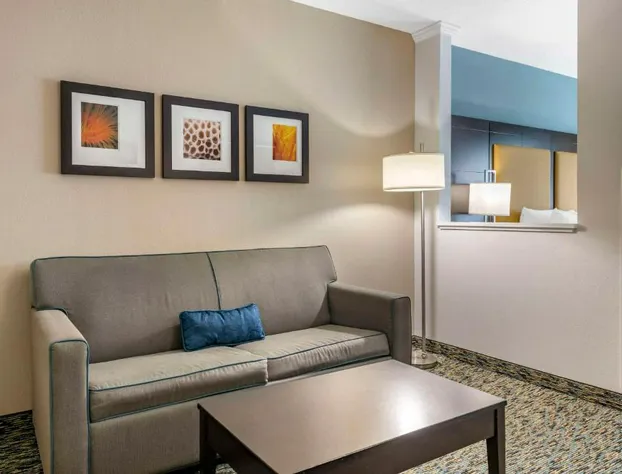 Comfort Suites Fort Lauderdale Airport South & Cruise Port hotel detail image 4