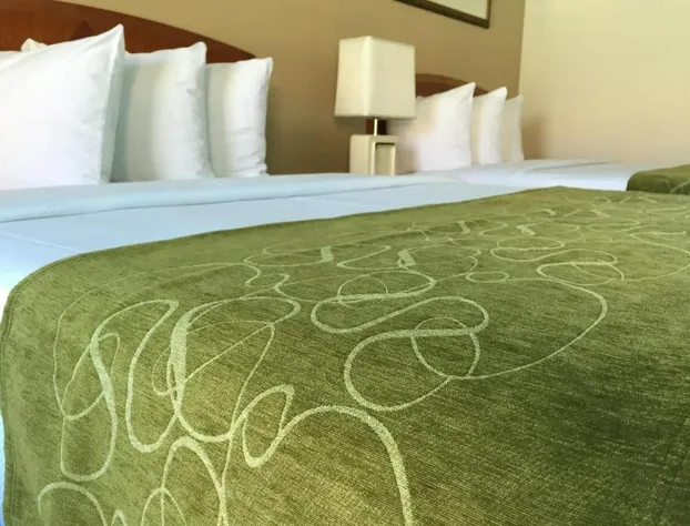 Seasons Florida Resort hotel detail image 3