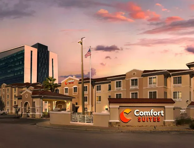 Comfort Suites Downtown hotel detail image 1