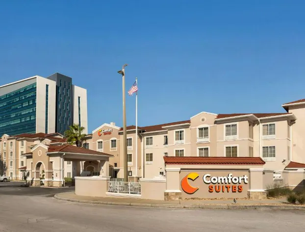 Comfort Suites Downtown hotel detail image 3