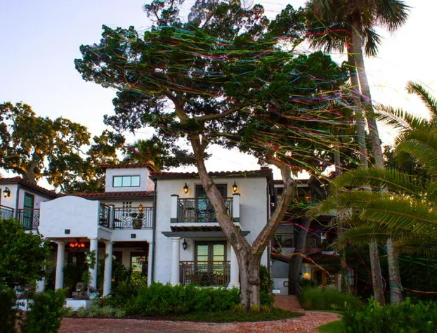 Black Dolphin Inn hotel detail image 3