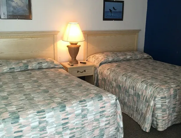 Royal Palms Motel hotel detail image 3