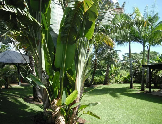 Island Goode's - Luxury Adults Only Accommodation hotel detail image 2
