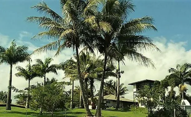 Island Goode's - Luxury Adults Only Accommodation hotel detail image 1