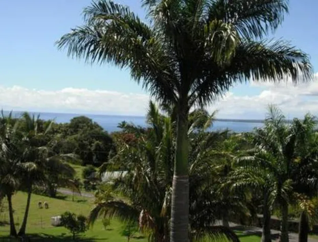 Island Goode's - Luxury Adults Only Accommodation hotel detail image 3