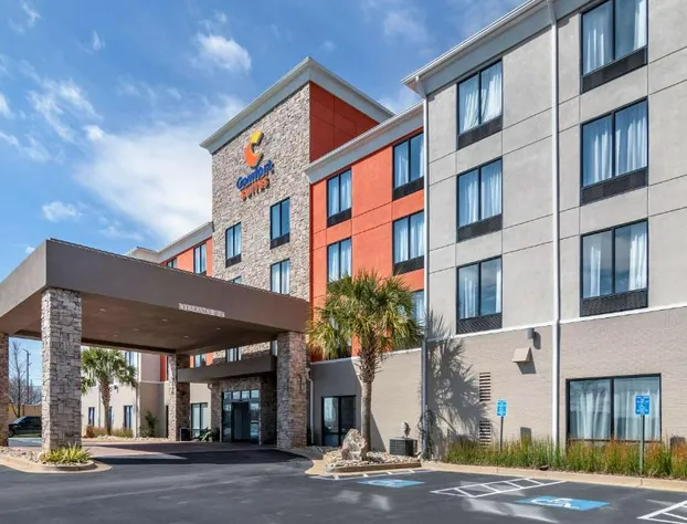 Comfort Suites McDonough Atlanta South hotel detail image 2