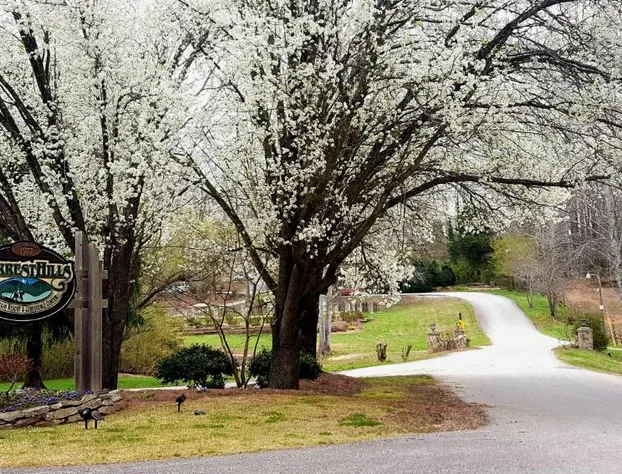 Forrest Hills Mountain Resort hotel detail image 4