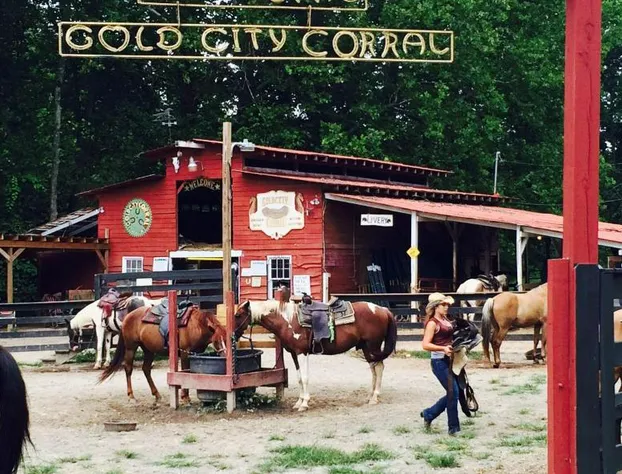 Forrest Hills Mountain Resort hotel detail image 4