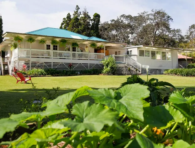 Aloha Junction Bed and Breakfast hotel detail image 1