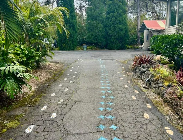 Aloha Junction Bed and Breakfast hotel detail image 2