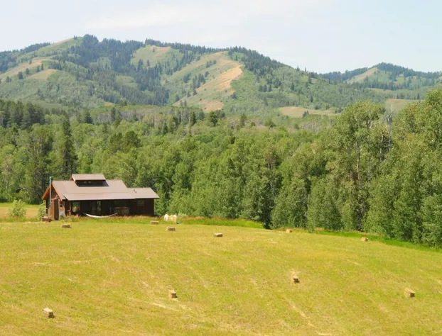 Fin and Feather Inn hotel detail image 2