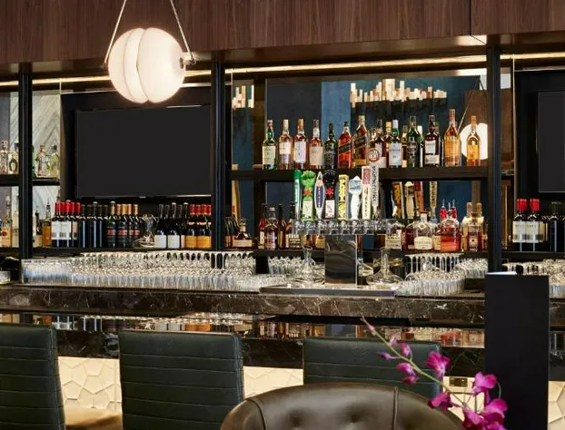 Loews Chicago Hotel hotel detail image 3