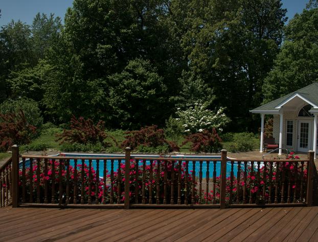 Southern Grace Bed & Breakfast hotel detail image 2