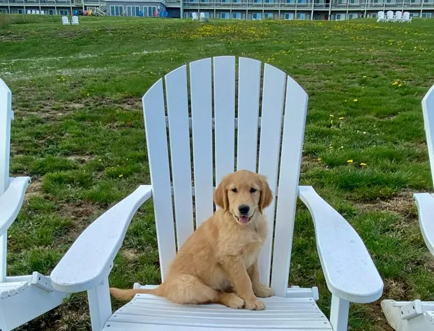 Fireside Inn & Suites - Belfast hotel detail image 4