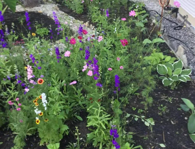 Black Boar Inn Ogunquit hotel detail image 2