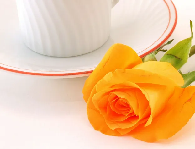 Hilton Garden Inn Baltimore Inner Harbor hotel detail image 2