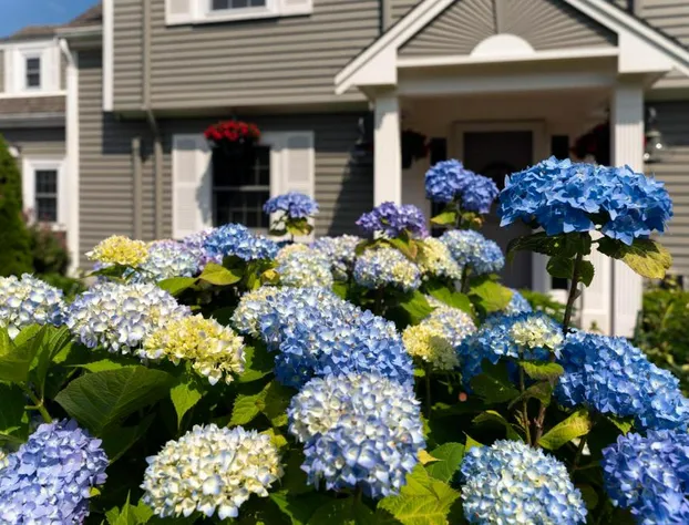 Old Harbor Inn hotel detail image 4