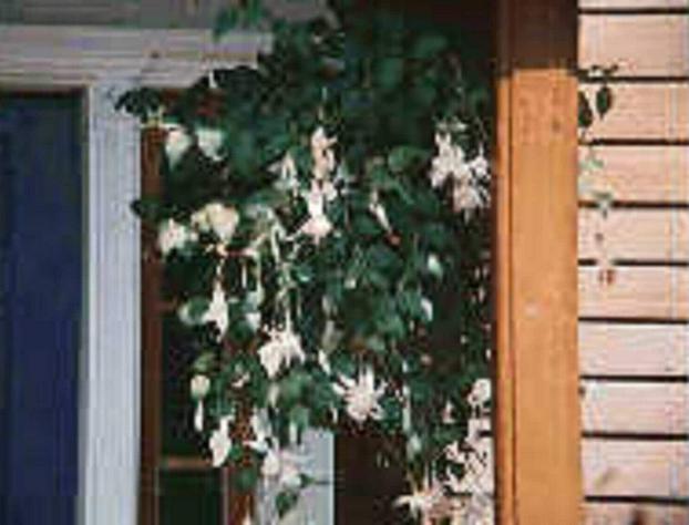 Chesapeake Inn of Lenox hotel detail image 2
