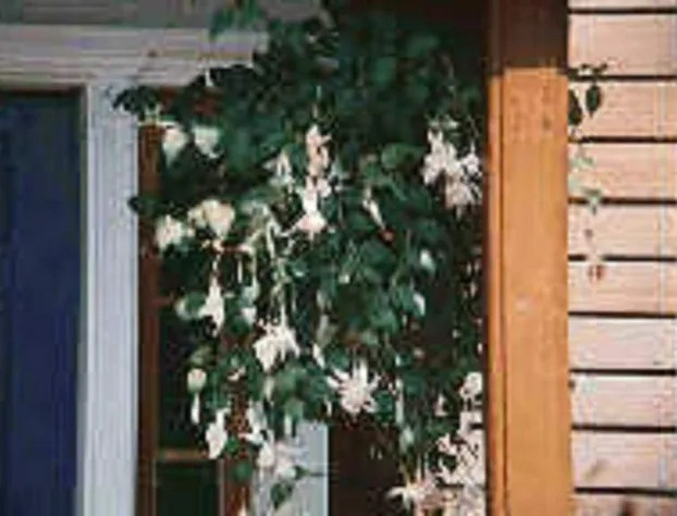 Chesapeake Inn of Lenox hotel detail image 2