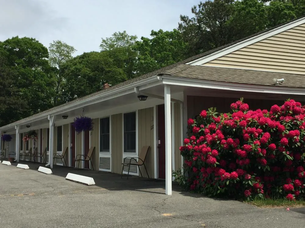 Viking Shores Motor Inn hotel hero