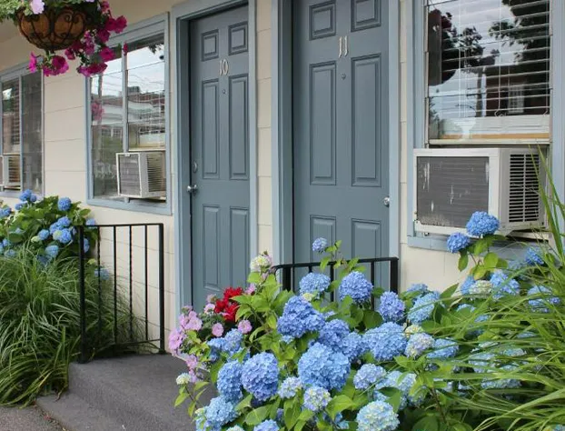 Town & Beach Motel hotel detail image 2