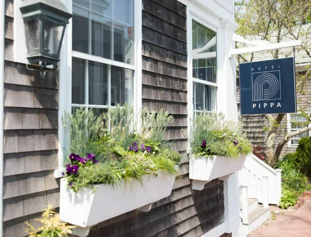 Hotel Pippa hotel detail image 2