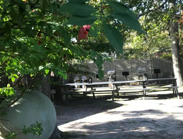 Veranda Cape Cod Family Resort hotel detail image 1