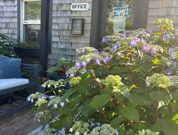 Veranda Cape Cod Family Resort hotel detail image 2