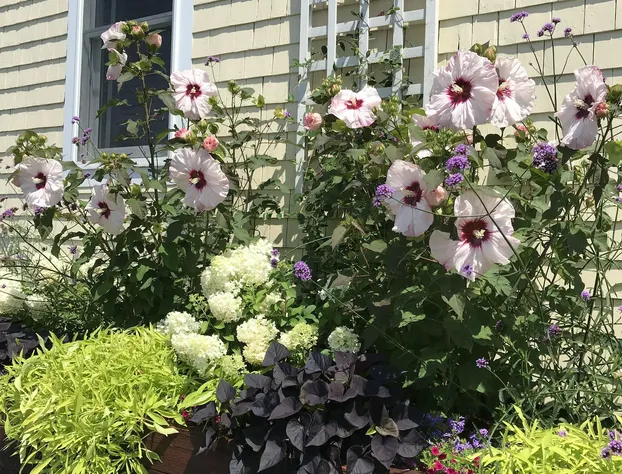 Inn at 7 Central hotel detail image 4