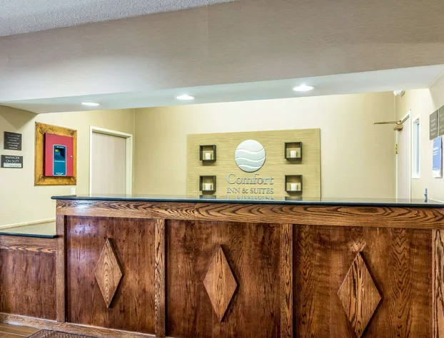 Comfort Inn & Suites - Hannibal hotel detail image 3