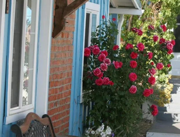 Sugarloaf Mountain Motel hotel detail image 1