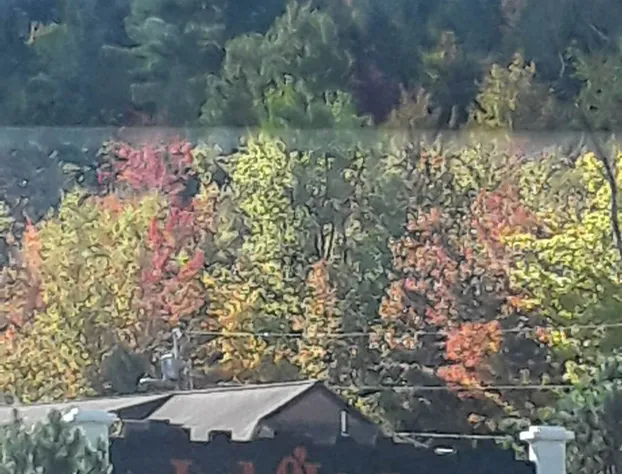 Jack O'Lantern Resort and Golf Course hotel detail image 2