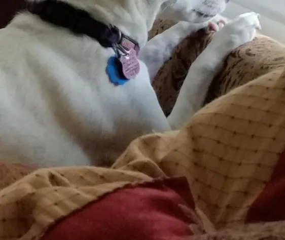 Tilton Inn hotel detail image 2